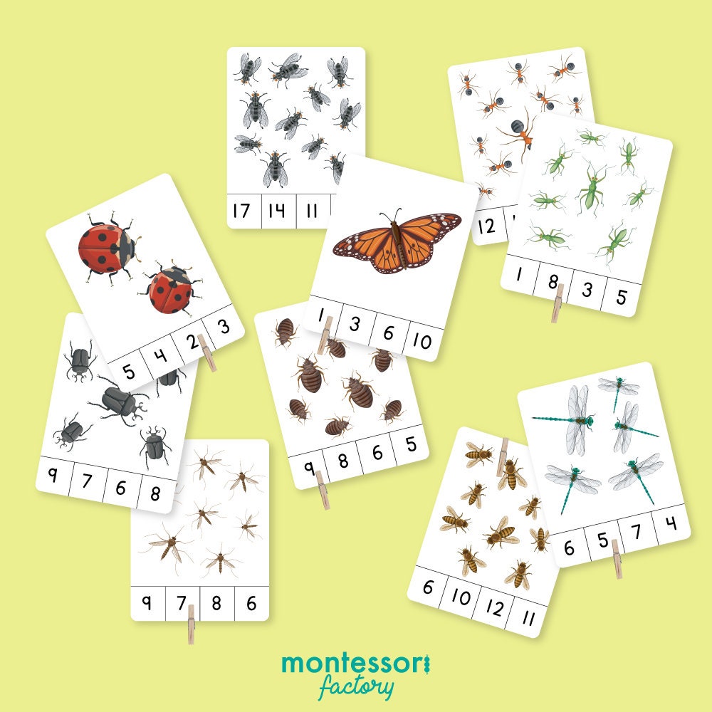COUNTING INSECTS BUGS Numbers 1 to 20 Montessori Counting - Etsy UK