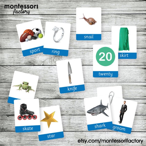 Montessori Blue Series Flash Cards • Editable PDF Nomenclature Cards - Etsy
