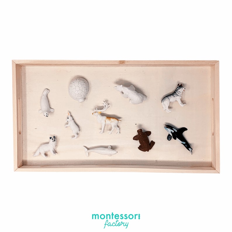 FARM ANIMALS TOOB Figurines Set Montessori Toy Sensory Etsy
