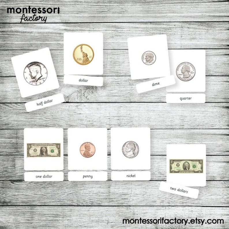 May include: A set of eight US coins and bills, including a half dollar, dollar, dime, quarter, penny, nickel, one dollar bill, and two dollar bill. Each coin and bill is displayed on a separate white card with the name of the coin or bill printed below it.