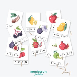 CARTA INÍCIO Som • FRUTAS • Clip Cards Montessori • Material Educacional • Montessori Imprimível • Pdf Editável