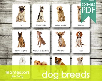 Dog breeds list with pictures sale pdf