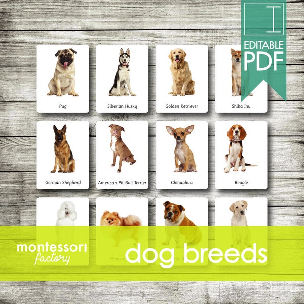 DOG BREEDS ⦿ Montessori Cards • Flash Cards • Three Part Cards • Nomenclature Cards • Educational Material • Printable • Editable PDF