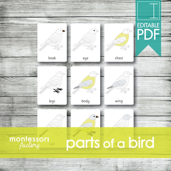 TEILE eines VOGELS • Montessori-Karten • Flash-Karten • Dreiteilige Karten • Nomenklaturkarten • Lernmaterial • Printable • Editierbare PDF