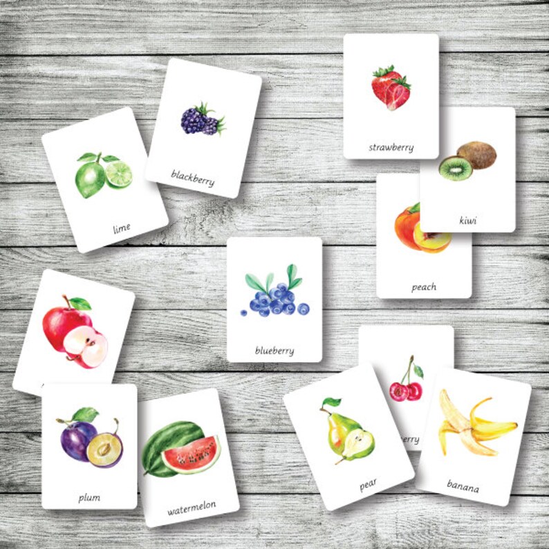FRUITS Montessori Cards Flash Cards Three Part Cards - Etsy