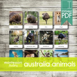 ANIMAIS DA AUSTRÁLIA / OCEANIA • Cartões Montessori • Cartões Flash • Cartões de três partes • Cartões de nomenclatura • Educacional • Imprimível • Editável