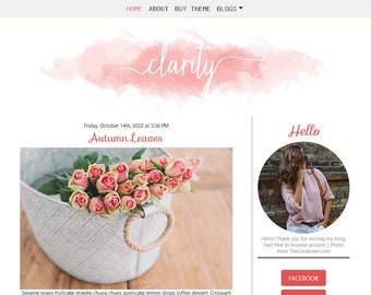 Wordpress Theme for Bloggers - Wordpress Blog - Responsive Wordpress Themes feminine (simple theme)