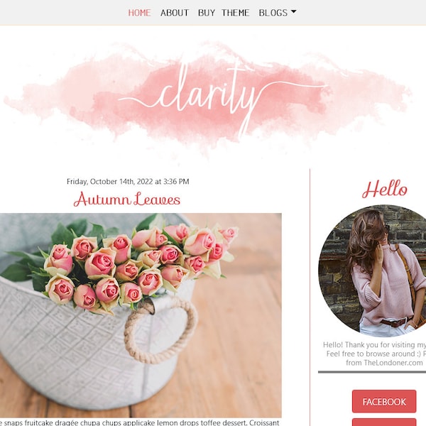 Wordpress Theme for Bloggers - Wordpress Blog - Responsive Wordpress Themes feminine (simple theme)