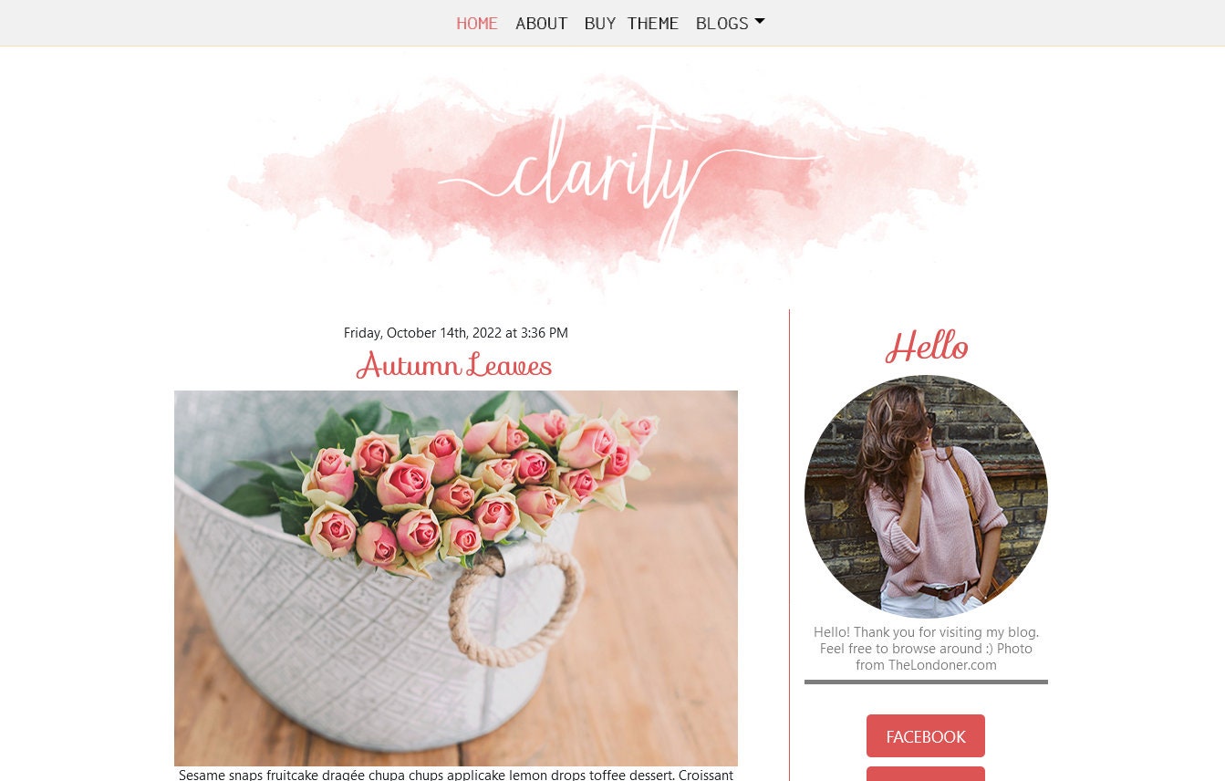Wordpress Theme for Bloggers - Wordpress Blog - Responsive Wordpress ...