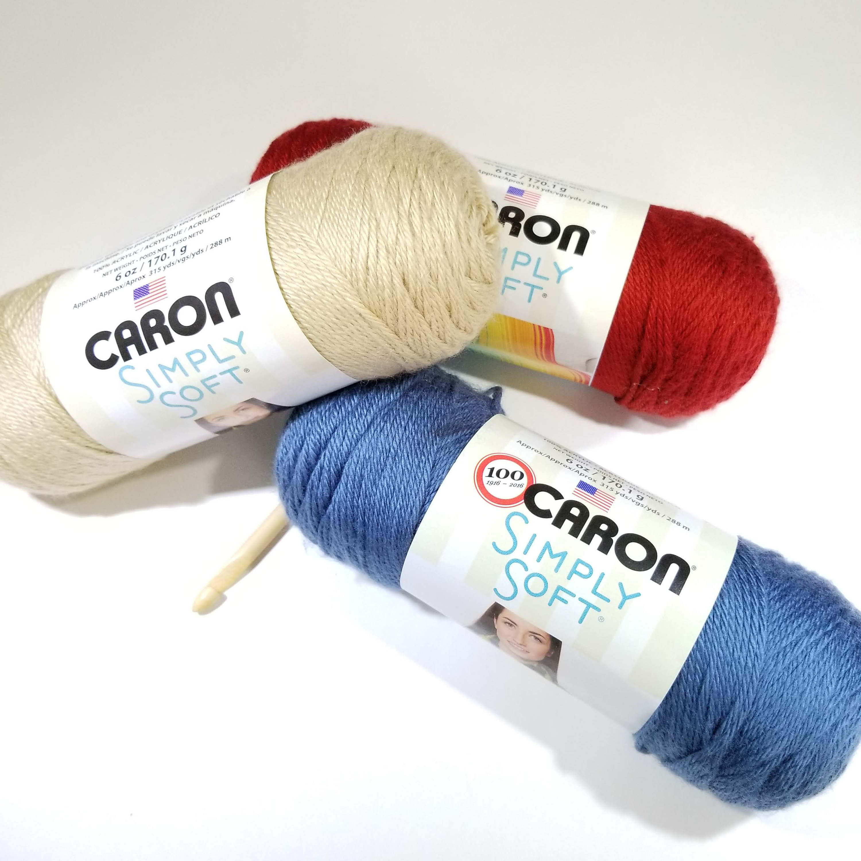 Caron Simply Soft Yarn 6oz/170.1g/315yds/288m plum Wine 