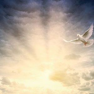 Messages From A Passed Loved One, Mediumship 30 MIN Pre-Recorded Video Recording, Beyond The Veil, Psychic Medium, Intuitive Tarot Reading