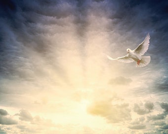 Messages From A Passed Loved One, Mediumship 30 MIN Pre-Recorded Video Recording, Beyond The Veil, Psychic Medium, Intuitive Tarot Reading