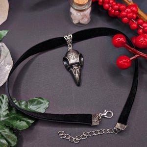 Puede incluir: Un collar gargantilla de terciopelo negro con un colgante de calavera de pájaro plateado. El collar tiene una cadena y un cierre plateados.