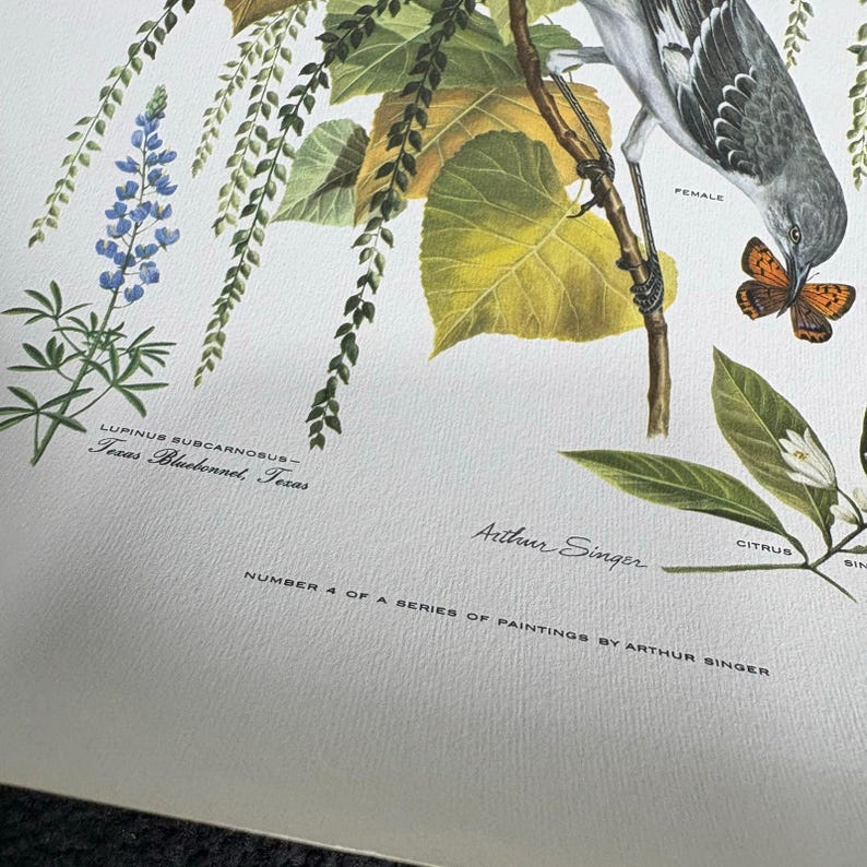 Arthur Singer Portfolio of Bird Prints Complete Set (8) - Vintage ...
