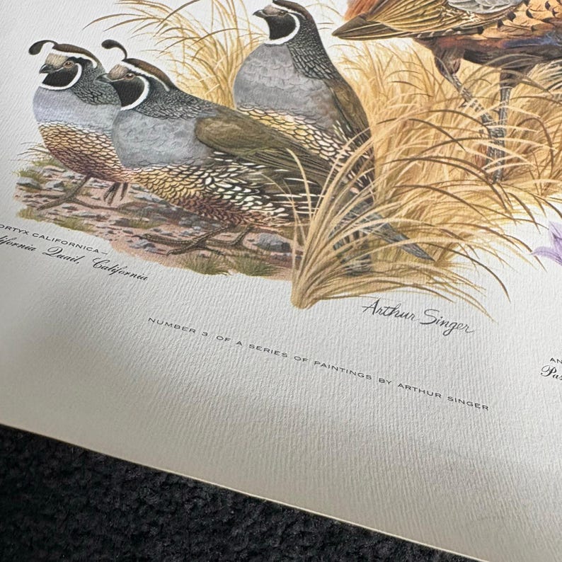 Arthur Singer Portfolio of Bird Prints Complete Set (8) - Vintage ...
