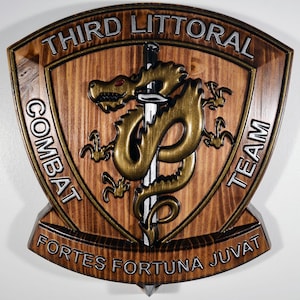 &quot;USMC 3D Littoral Kampfgruppe, Marinekorps, bemalte 15 &quot;&quot;Militärplakette&quot;
