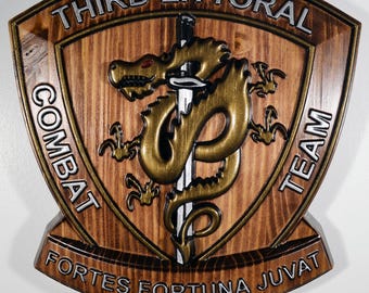 USMC 3D Littoral Combat Team, Marine Corps, Painted 15" Military Plaque