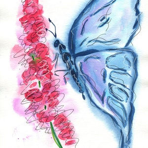 May include: Watercolor painting of a blue butterfly with its wings spread out, perched on a pink flower with a green stem.
