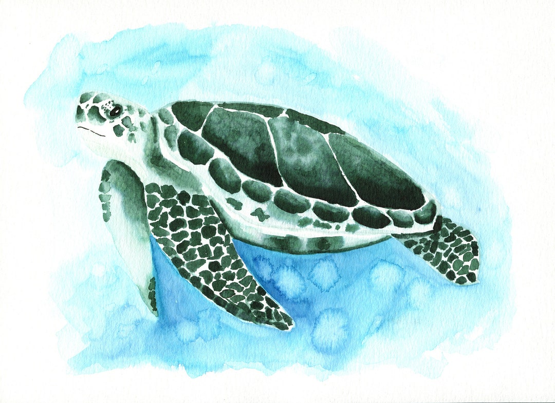 Green Sea Turtle Watercolor Painting 9x12, Under the Sea Artwork, Beach ...