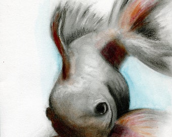 Koi fish hand painted watercolor and charcoal painting 9x12, original watercolor wall art, Japanese Koi painting
