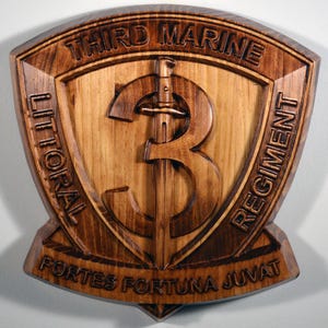 USMC 3rd Marine Littoral Regiment, 12&quot; militaire plaquette