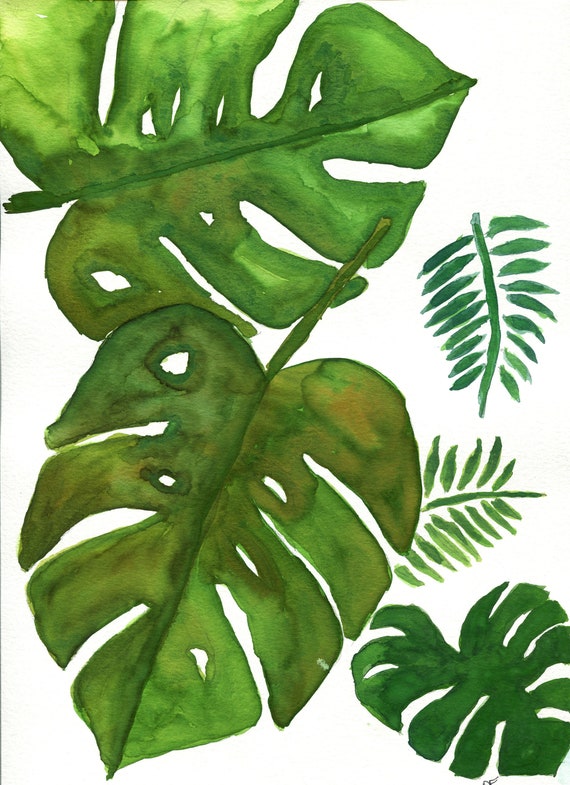 Monstera Deliciosa handgemaltes Original Aquarell Gemlde, tropische  botanische Wandkunst, Philodendron Blatt Wandbehang - Etsy.de