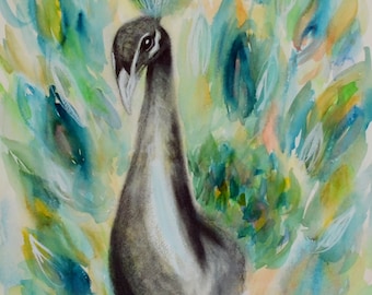 Peacock hand painted watercolor and charcoal painting 14x20, peacock wall art, original watercolor not a print