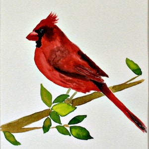 Cardinal watercolor painting 9x12, bird lover art original watercolor, wildlife wall art