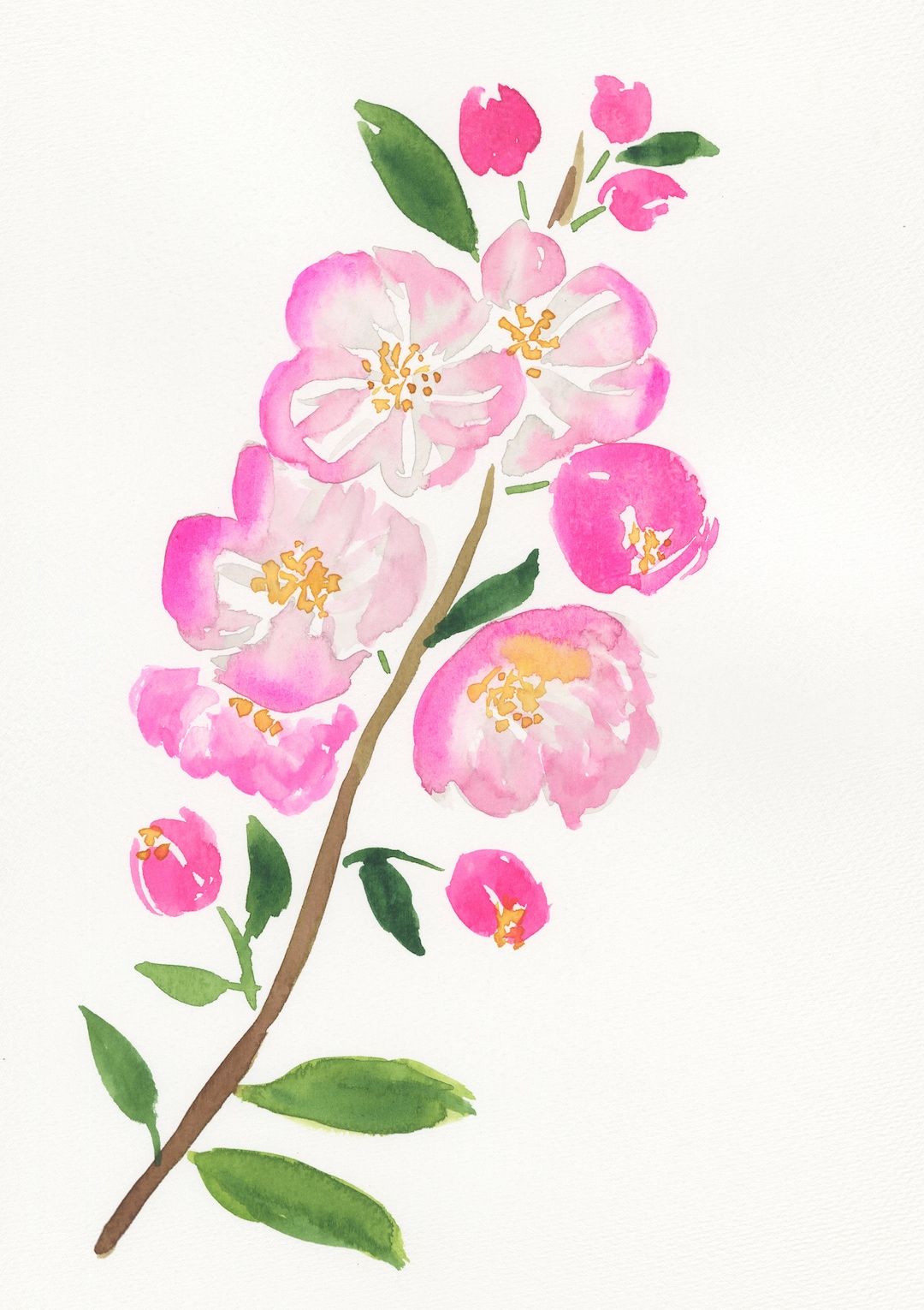 Apple Blossom Stem Hand Painted Watercolor Painting 9x12, Original Wall ...
