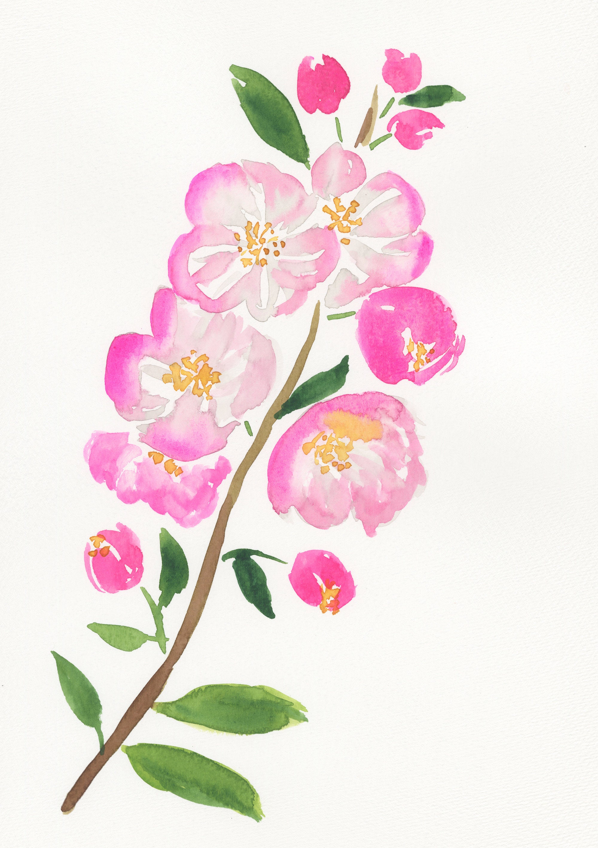 Apple Blossom Stem Hand Painted Watercolor Painting 9x12, Original Wall ...