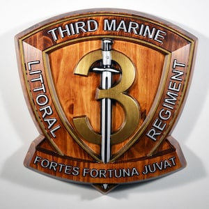&quot;USMC 3rd Marine Küstenregiment, gemalte 15 &quot;&quot;Militärplakette&quot;