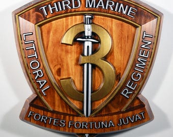 USMC 3rd Marine Littoral Regiment, Painted 15" Military Plaque