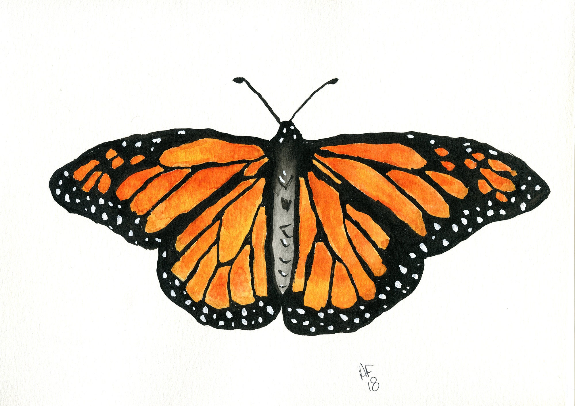 Monarch Butterfly Watercolor Painting 9x12 Original Orange - Etsy