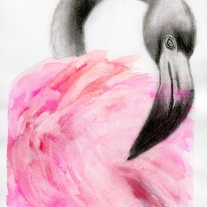 Arte de flamenco rosa, carbón pintado a mano y pintura de acuarela 9x12, arte de pared de flamenco, pintura de acuarela original