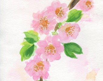 Cherry blossoms original hand painted watercolor painting 9x12, pink flowers wall art, Japanese cherry blossom artwork