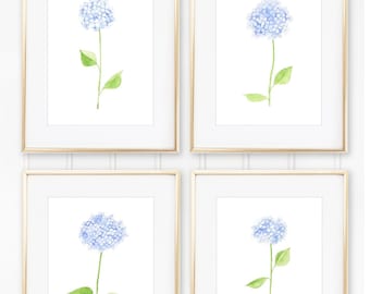 Hydrangea Stems Watercolor Print