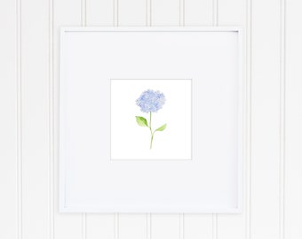 Mini Hydrangea Stem Watercolor Giclee
