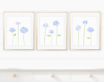 Multiple Hydrangea Stems Watercolor Print