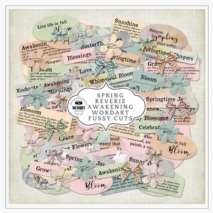 Può includere: Una collezione di ritagli di carta colorati a tema floreale con parole come "Sogno di primavera", "Risveglio", "Fioritura", "Fioritura fantasiosa" e "Giornate di sole". I ritagli sono in varie tonalità di rosa, verde e blu, con delicati motivi floreali e pois neri.