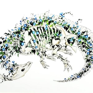 Parasaurolophus Blue Morning Glory Skeleton 13x19 Fine Art Print