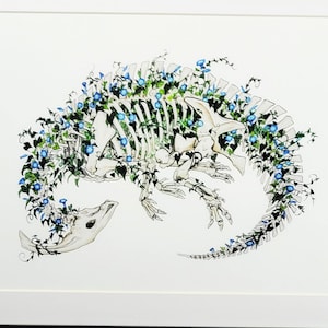 Parasaurolophus Blue Morning Glory Skeleton 13x19 Fine Art Print