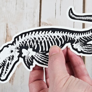 Mosasaur Skeleton Weather Proof Decal image 1