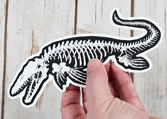 Mosasaur Skeleton Weather Proof Decal
