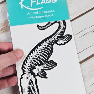 Mosasaur Skeleton Weather Proof Decal image 6