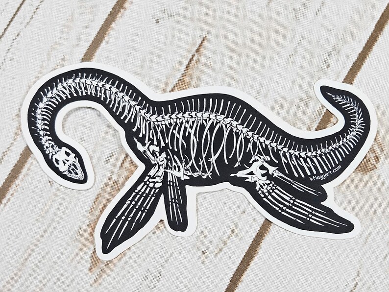Plesiosaur Skeleton Weather Proof Decal - Etsy