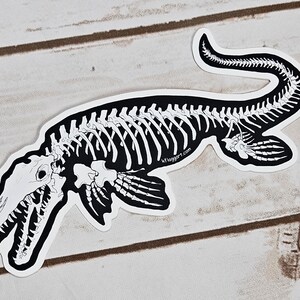 Mosasaur Skeleton Weather Proof Decal image 9