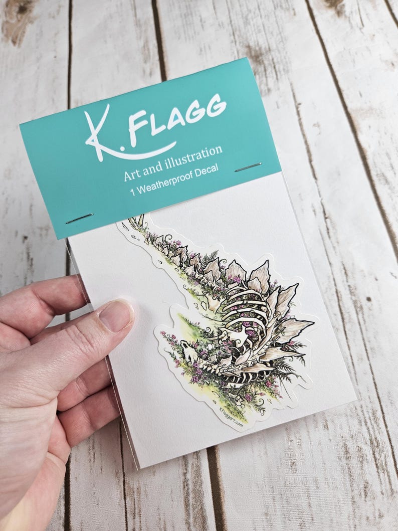 Pode incluir: Um decalque &agrave; prova de intemp&eacute;ries que apresenta uma ilustra&ccedil;&atilde;o detalhada de um drag&atilde;o esquel&eacute;tico com flores crescendo de seus ossos. O decalque &eacute; embalado em um saco de pl&aacute;stico transparente com um cabe&ccedil;alho turquesa que diz "K. FLAGG Art and Illustration 1 Weatherproof Decal".