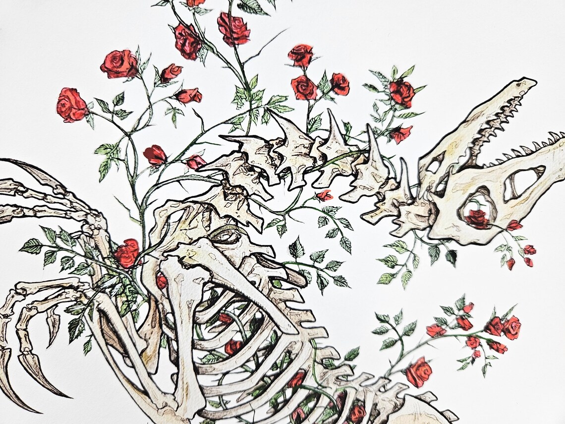 Velociraptor Red Rose Skeleton 13x19 Fine Art Print - Etsy