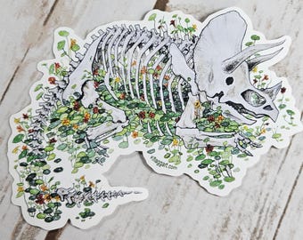 Triceratops Skeleton and Nasturtium Weather Proof Decal