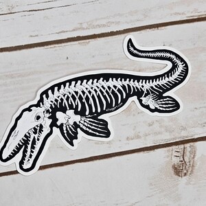 Mosasaur Skeleton Weather Proof Decal image 4